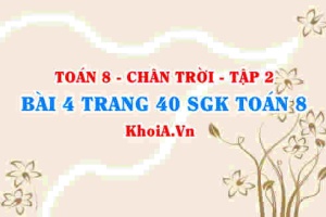 Bài 4 trang 40 Toán 8 Chân trời sáng tạo Tập 2